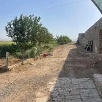 واگذاری مرغداری و مزرعه کشاورزی مجهز|فروش دفتر صنعتی، کشاورزی، تجاری|شاهین‌شهر, برخوار غرب|دیوار