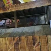 دو عدد طبق مخصوص میوه دوطبقه بدنه اهن|فعالیت داوطلبانه|رشت, فرزانه|دیوار