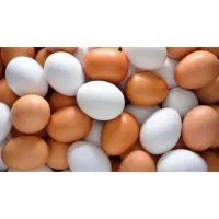 تخم مرغ خوراکی و نطفه دار زیرمرغی