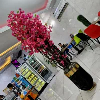 نصب و اجرای درخت شکوفه بهاری|گل مصنوعی|قم, باجک یک|دیوار