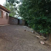 فروش ویلا ۹۰ متری با ۴۱۰ متر زمین در سلکسر لاکان