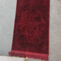 پادری