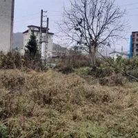 زمین-داخل-بافت-شمالی-جنوبی