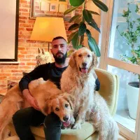 تربیت سگ.مربی سگ.آموزش سگ در زعفرانیه تهران