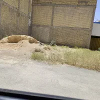 زمین-کفترک