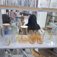 دکور مغازه ظرف فروشی|فروشگاه و مغازه|آبدانان, |دیوار