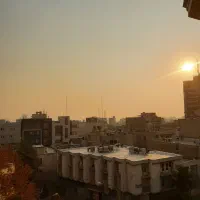 خانم خدمتکارنیمه وقت