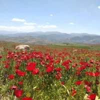 گیلانگردی دخترونه|تور و چارتر|سنگر, |دیوار