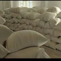 سبوس گندم در دژکرد فارس