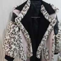 پالتو درحد نو