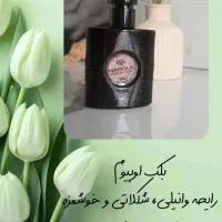 عطر و ادکلن (انواع ادکلن های زنانه و مردانه)|آرایشی، بهداشتی، درمانی|رشت, کوی مهر|دیوار