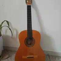 گیتار اصل