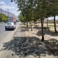 فروش-زمین