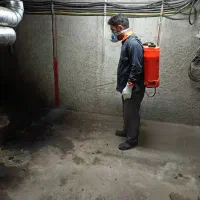 هرس کاری و سم پاشی باغ ومنازل|خدمات باغبانی و درختکاری|صباشهر, |دیوار