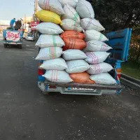 کود حیوانی