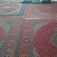 چارتا فرش ۱۲متریی