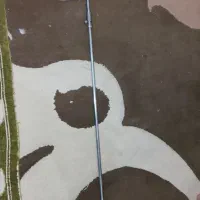 تیر تفنگ ماهیگیری|ماهیگیری|بوشهر, |دیوار