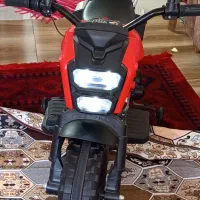 تعدادی لوازم|فرش|تایباد, |دیوار