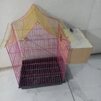 قفس