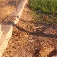 زمین کشاورزی|فروش دفتر صنعتی، کشاورزی، تجاری|خوسف, |دیوار