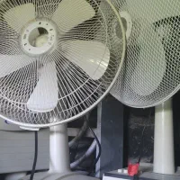 پنکه