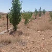 فروش باغ۲۰۰۰ متری