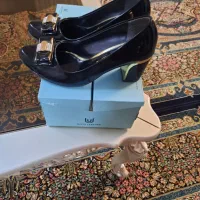 کفش ورنی|کیف، کفش، کمربند|مشهد, تربیت (صدف)|دیوار