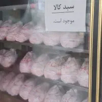 یخچال مرغ فروشی
