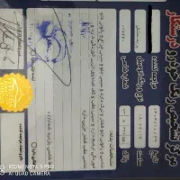 پراید مدل ۹۳|خودرو سواری و وانت|ری, ولی آباد|دیوار