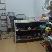 پلاسکو برقی|ظروف نگهدارنده، پلاستیکی، یکبارمصرف|ایلام, |دیوار