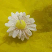 شمع سازی|صنایع دستی و سایر لوازم تزئینی|بندر گناوه, |دیوار