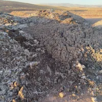 کود مرغ درجه یک|خدمات باغبانی و درختکاری|فریمان, |دیوار