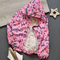 سویشرت|لباس|سبزوار, امیر کبیر|دیوار