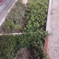 خونه ویلایی