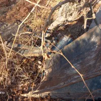 ادوات کشاورزی(تراکتور)|خودرو سنگین|جوادآباد, |دیوار