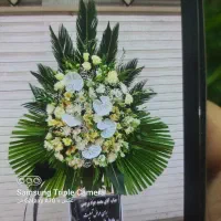 تاج گل پایه سبد و دسته گل ماشین عروس خدمات تشریفات|گل و گیاه طبیعی|مشهد, امیر|دیوار