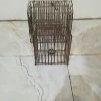 3تاقفس