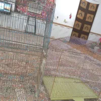 قفس کوچک و بزرگ