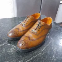 یک عدد کفش مجلسی|کیف، کفش، کمربند|اهواز, کوی شایسته|دیوار