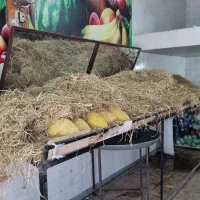 وسایل و تجهیزات میوه فروشی|فروشگاه و مغازه|فیروزآباد (فارس), |دیوار