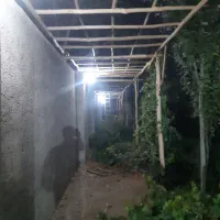 چوب داربست مو تالار انگور باغ ویلا خانه باغ|خدمات باغبانی و درختکاری|کاشان, کارگر|دیوار