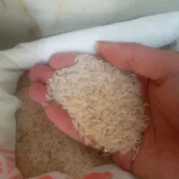 برنج ایرانی طارم هاشمی|خوردنی و آشامیدنی|ری, ملک‌آباد|دیوار