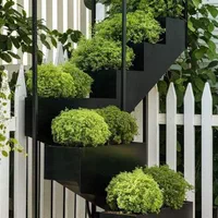 فلاور باکس|گل و گیاه طبیعی|مشکیندشت, |دیوار