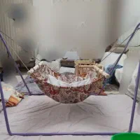 گهواره سنتی
