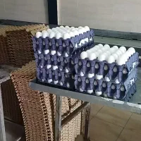 جویای کار هستم شهر گلپایگان