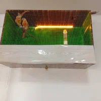 یک عدد قفس پرنده . تمیز و سالم و مطمئن