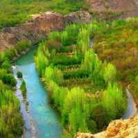 باغ میوه مارکده|فروش دفتر صنعتی، کشاورزی، تجاری|زاینده رود, |دیوار