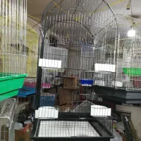 انواع قفس، دانه و وسایل قفس پرنده|لوازم جانبی حیوانات|شیراز, گلکوب|دیوار