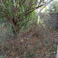 خونه باغ با بنای قدیمی۶۰۰متری|فروش خانه و ویلا|دابودشت, |دیوار