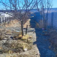 باغ دور دیوار|فروش زمین و ملک کلنگی|گلمکان, |دیوار